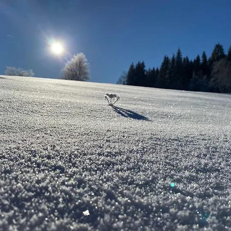 Alte Foersterei Wildenthal In - 2 Lejlighed Eibenstock