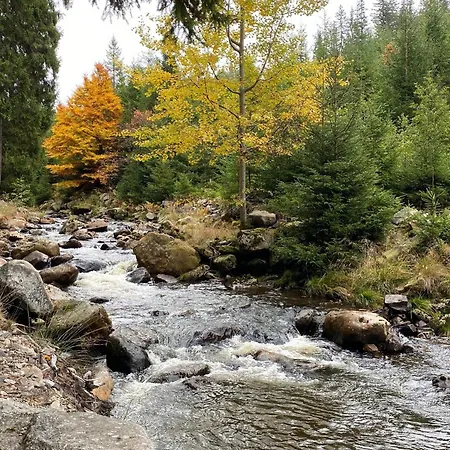 Am Kammweg Erzgebirge Appartement Eibenstock