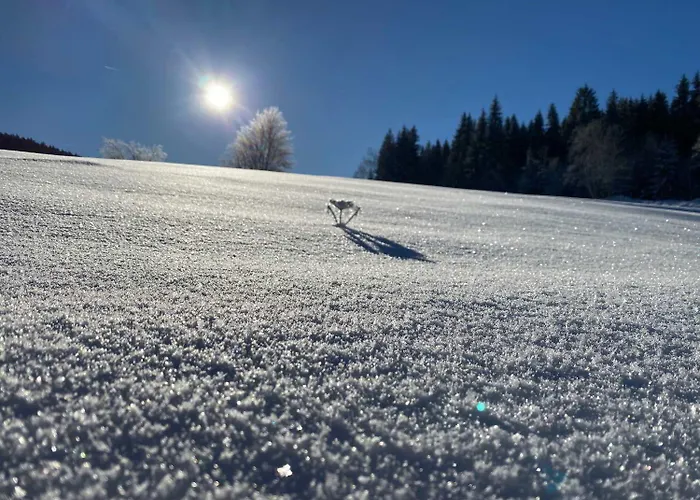 Am Kammweg Erzgebirge Appartement Eibenstock