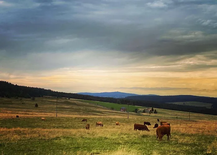 Appartement Am Kammweg Erzgebirge *