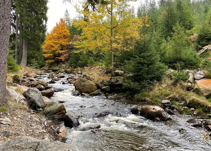 Am Kammweg Erzgebirge Appartement Eibenstock
